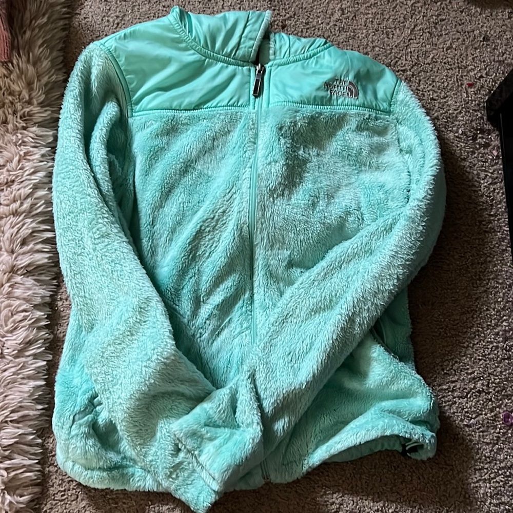 Teal north face sweater.